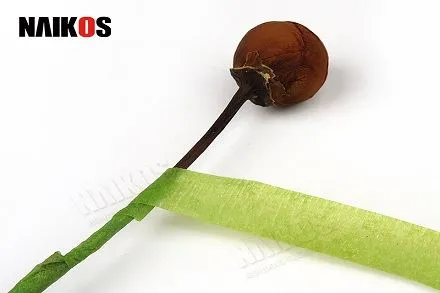 Цветна флорална лента, предназначена за използване във флорални аранжировки